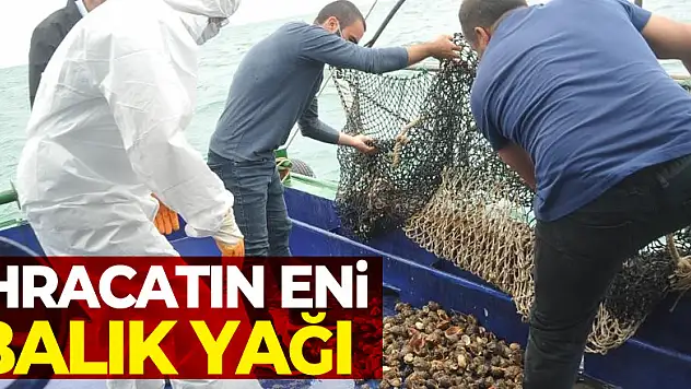 Samsun'da en çok hayvansal ürün ihracatı balık yağı ile gerçekleşti