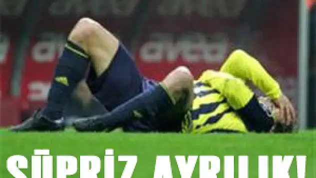 Fenerbahçe'de bir sürpriz ayrılık daha!