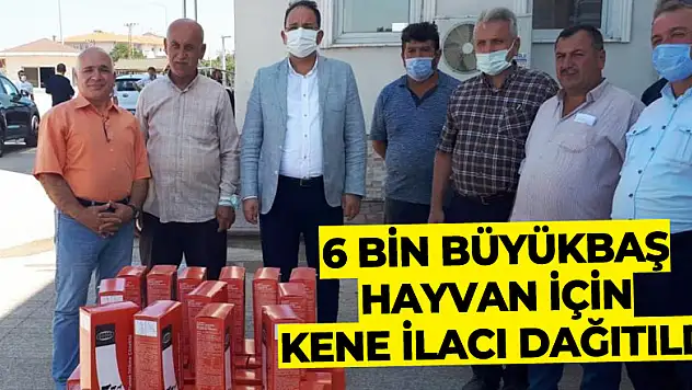 6 bin büyükbaş hayvan için kene ilacı dağıtıldı