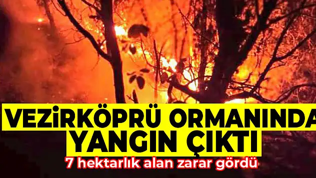Samsun'da orman yangını 7 hektarlık alan zarar gördü