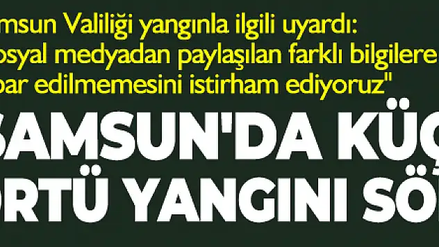 Samsun'da küçük çaplı örtü yangını söndürüldü