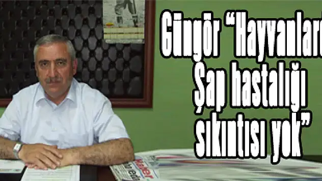 Güngör 'Hayvanlarda Şap hastalığı sıkıntısı yok'