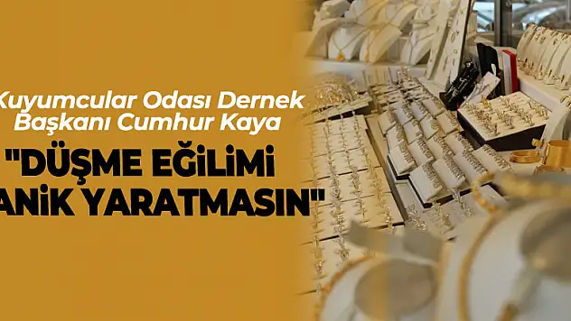 'Düşme Eğilimi Panik Yaratmasın'