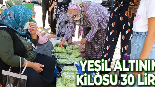 Yeşil altının kilosu 30 lira