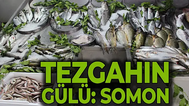 TEZGAHIN GÜLÜ: SOMON