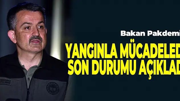 Bakan Pakdemirli yangınla mücadelede son durumu açıkladı