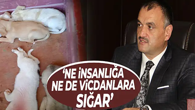 'NE İNSANLIĞA NE DE VİCDANLARA SIĞAR'