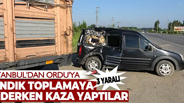 İstanbul'dan Ordu'ya fındık toplaya giderken kaza yaptılar: 3 yaralı