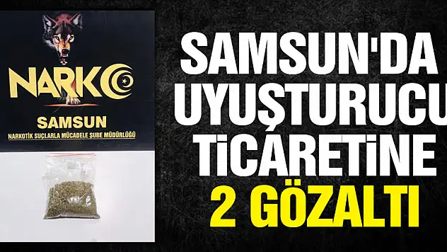 Samsun'da uyuşturucu ticaretine 2 gözaltı