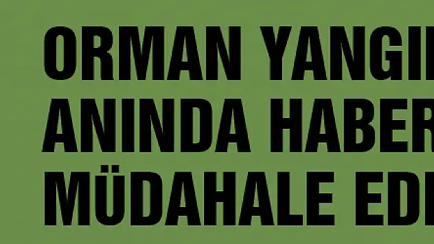 Orman yangınlarını anında haber veren ve müdahale eden keşif