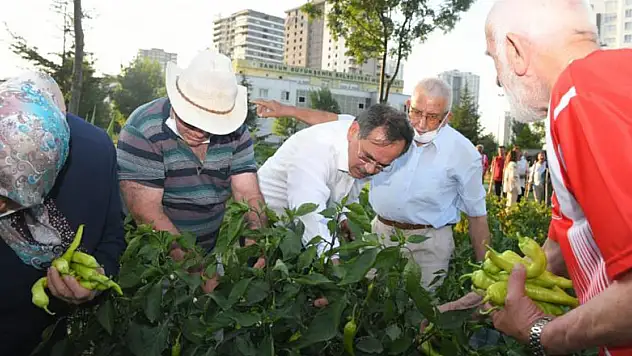 Başkan Demir, huzurevi sakinleri ile sebze topladı, bocce oynadı