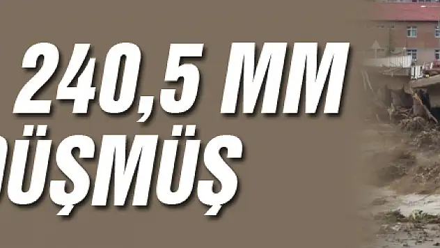 Ayancık'a 240,5 mm yağış düşmüş