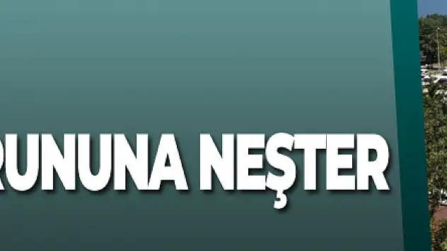 OMÜ'deki otopark sorununa neşter