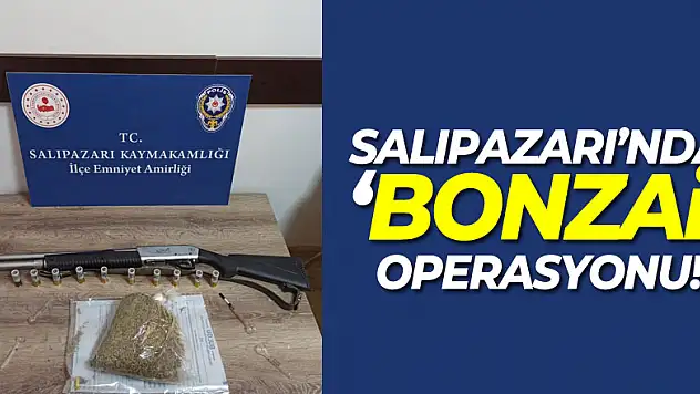 Salıpazarı'nda 'bonzai' operasyonu!