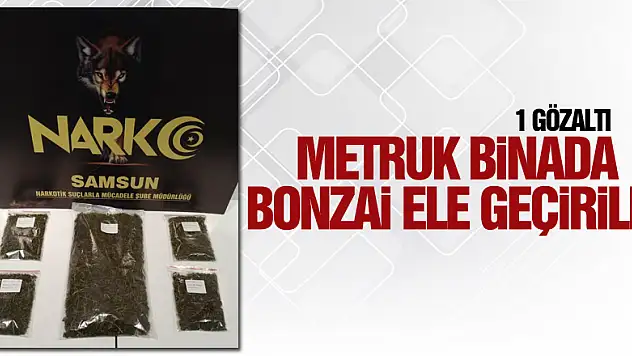 Samsun'da metruk binada 5 paket bonzai ele geçirildi: 1 gözaltı
