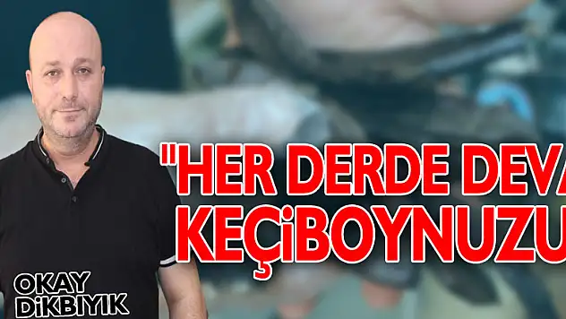 'HER DERDE DEVA: KEÇİBOYNUZU'