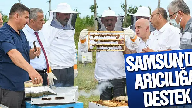 Samsun'da arıcılığa destek