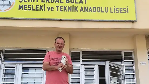 Yaralı halde bulunan baykuş tedavi altına alındı