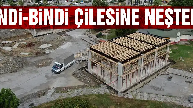 İndi-bindi çilesine neşter
