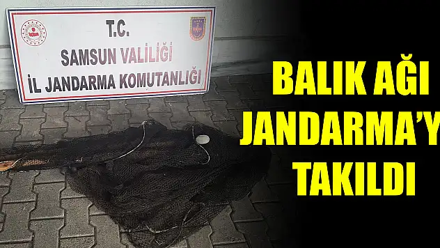 Balık Ağı Jandarma'ya takıldı