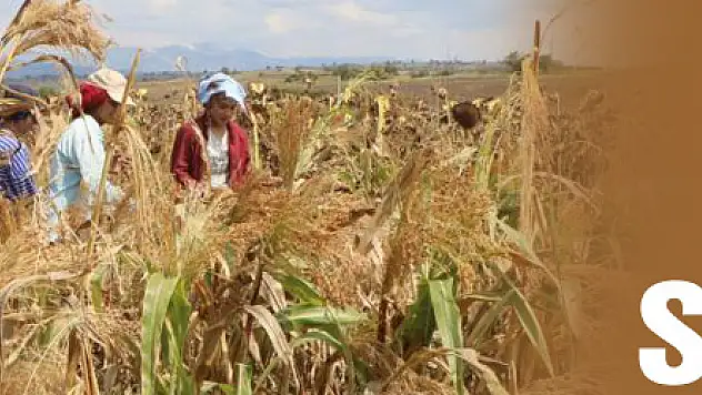 Samsun Türkiye'yi süpürüyor