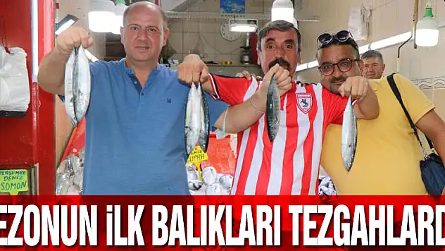 Sezonun ilk balıkları tezgahlarda: İstavrit 10 TL