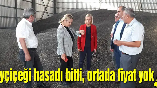 Ayçiçeği hasadı bitti, ortada fiyat yok!
