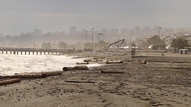 Ayancık'ta sel sularının denize sürüklediği tomruklar Samsun sahillerinde
