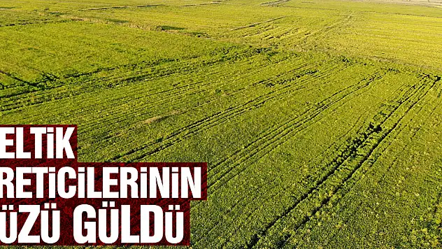 Cumhurbaşkanı açıkladı, çeltik üreticilerinin yüzü güldü