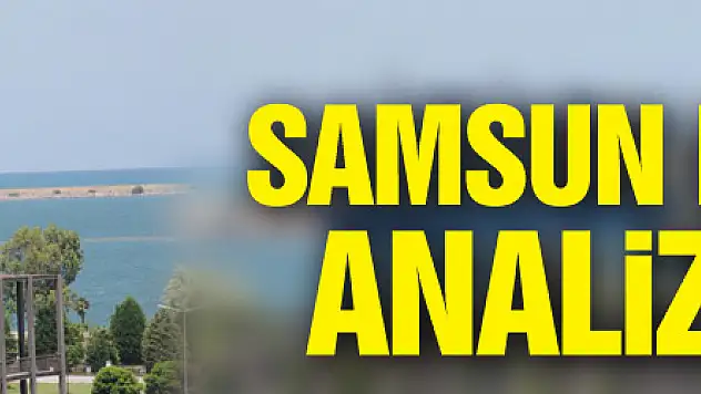 Samsun Limanı'nda analiz sorunu: Bafra Ovası'nda üretilen kapya biberler tahlil için Mersin'e gönderiliyor