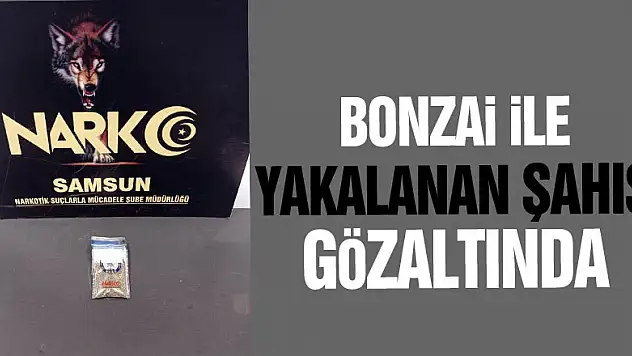 Bonzai ile yakalanan şahıs gözaltında
