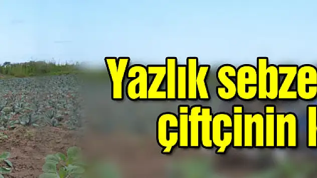 Yazlık sebzeden yüzü gülen çiftçinin kışlık umudu