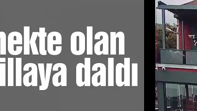 Nesli tükenmekte olan kuş sürüsü villaya daldı