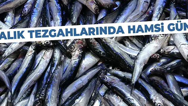 Balık tezgahlarında hamsi günü