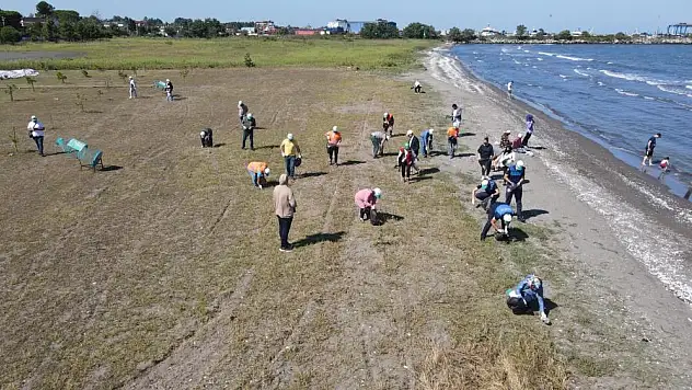 Terme'de 'temiz çevre' seferberliği
