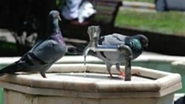 Ramazan rahmetiyle geldi