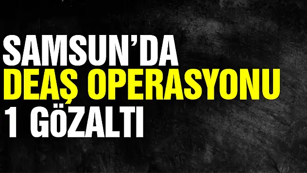Samsun'da DEAŞ operasyonu: 1 gözaltı