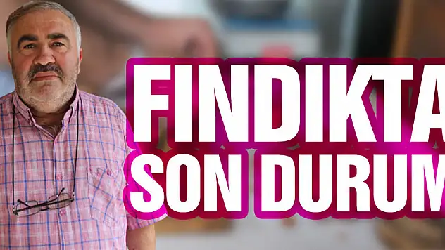 FINDIKTA SON DURUM