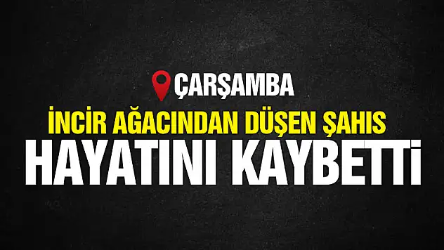 İncir ağacından düşen şahıs hayatını kaybetti