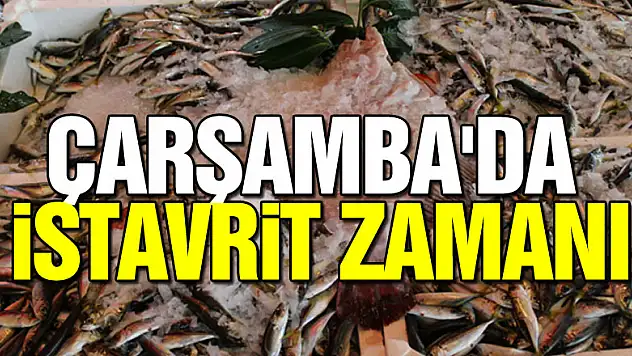 ÇARŞAMBA'DA İSTAVRİT ZAMANI