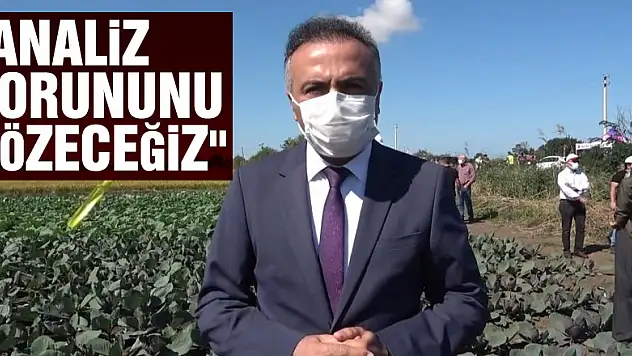 Daire Başkanı Dilber: 'Analiz sorununu çözeceğiz'