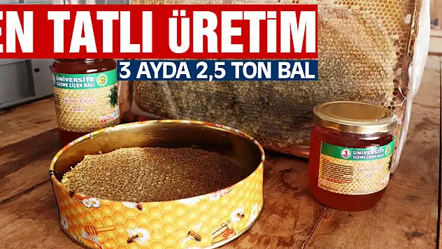 Ziraat Fakültesinden en tatlı üretim: 3 ayda 2,5 ton bal