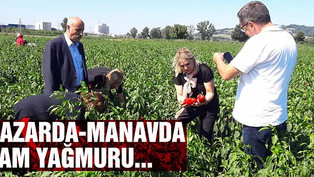 Pazarda-manavda zam yağmuru...