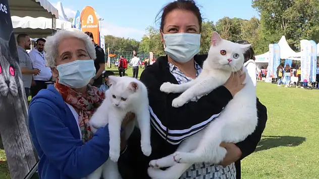 Birbirinden sevimli hayvanlar festivalin gözdesi oldu