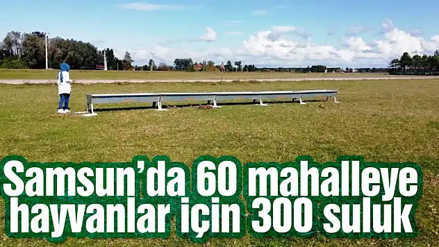 Samsun'da 60 mahalleye hayvanlar için 300 suluk