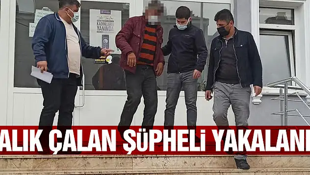 Balıkçıdan 35 kilo balık çalan şüpheli yakalandı