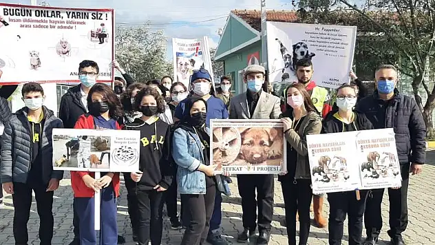 Öğrencilerden hayvanlara şefkat eli