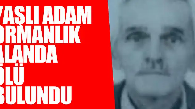 Yaşlı adam ormanlık alanda ölü bulundu