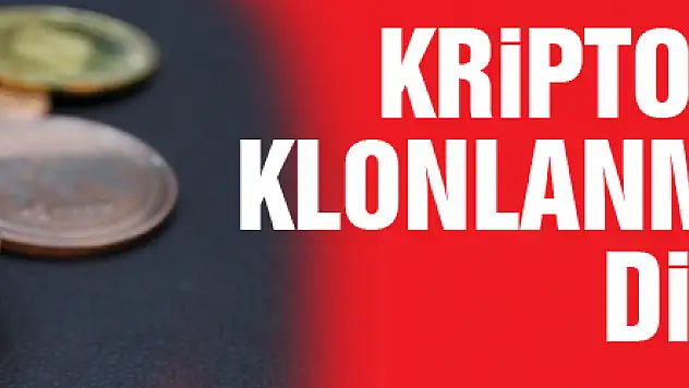 Kripto parada klonlanmış sitelere dikkat