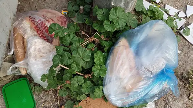 Dünyada 1,3 milyar ton gıda çöpe gidiyor